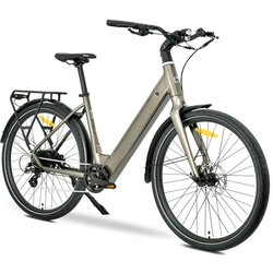 Ms Energy eBIKE ZORYA BRONZE Cene