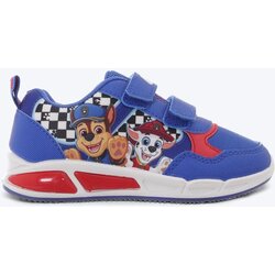 SUGI Patike za dečake Paw Patrol, Plave Cene