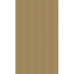 Ambar - Ukrasni papir 70 x 100 Gold Kraft Cene