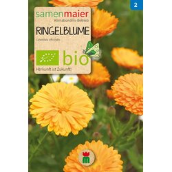 Samen Maier BIO ognjič Cene