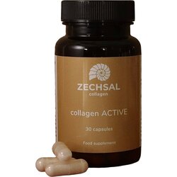 Collagen ACTIV - 30 kaps. Cene