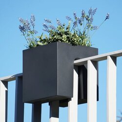 rephorm Posoda za rastline "Steckling Cube" - Grafit (antracit) Cene