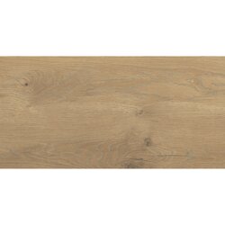 Stargres vanjske podne pločice taiga honey 30x60 cm, 1. klasa, 1,62 m2 Cene