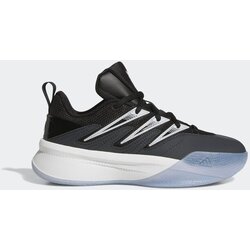 Adidas Patike za dečake za košarku dame certified 3, Crne Cene