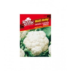 ROYAL SEEDS Sjeme karfiol Snježna grudva Maxi 002 208-02800 Cene
