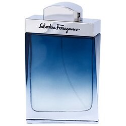 Salvatore Ferragamo Subtil Pour Homme toaletna voda 100 ml za muškarce Cijene