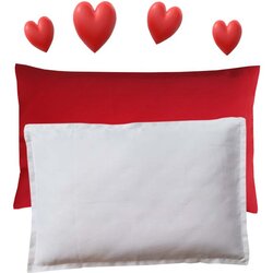 Shije Shete Valentino jastuk punjen heljdom/Jastuk za spavanje Cene