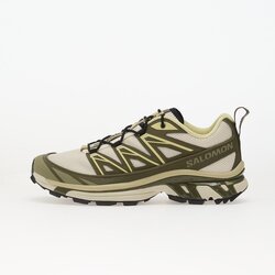 Salomon Advanced Sneakers Salomon XT-6 Expanse Almilk/ Olvnig/ Dusty EUR 40 Cene