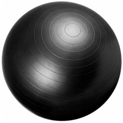 Gorilla Sports lopta za pilates 1867982 Cene