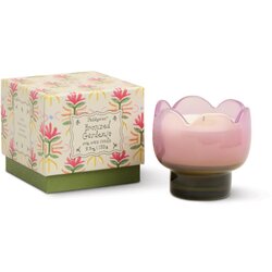 Paddywax Tulip Bronzed Gardenia dišeča sveča 155 g Cene