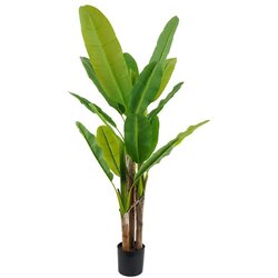 Lilium stablo banana 1x3 170cm 567293 Cene