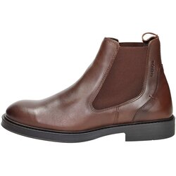 Baerchi Polškornji 1164 Kostanjeva Cene