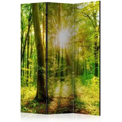 Artgeist Paravan - Forest Rays 135x172 Cene