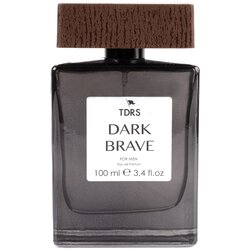 Tudors Muški parfem Dark Brave 100ml Cene
