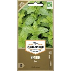 Meta "Verte" Cene