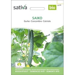 Sativa Bio kumare “Saiko” Cene