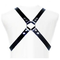 LEATHER BODY BASIC HARNESS Cene