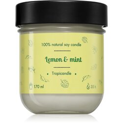 Tropicandle Lemon & Mint mirisna svijeća 170 ml Cene