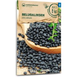 Samen Maier Bio beluga leča Cene