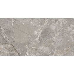 Walter grey glossy 300x600 akl. 1,62 Cene