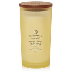 Chesapeake Bay Candle Mind & Body Strength & Energy mirisna svijeća 355 g Cene