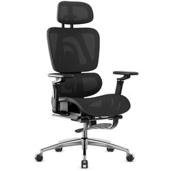 Expert 7.9 Crna ergonomska stolica Cene