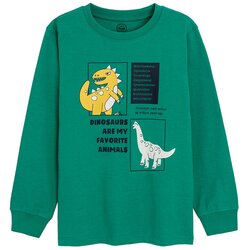 Cool club pulover CCB2711862 zelena F 128 Cene