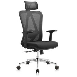 Ergo office plus - Radna anatomska stolica S2 - Crna 683966 Cene