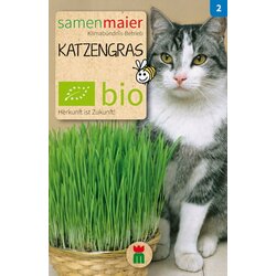 Samen Maier bio mačja trava Cene