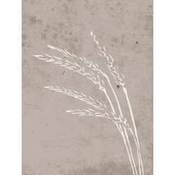 Venture Home poster Seeds 30 × 40 cm, bež Cijene