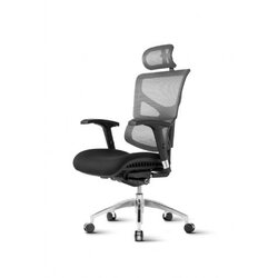 ERGOVISION Smart 04 Cene