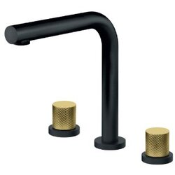 Rosan S2 Black-Gold baterija podgradna za lavabo dvoručna-visoka Cene