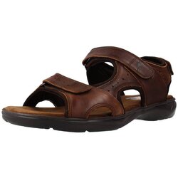 Fluchos F1201 Smeđa Cijene