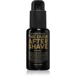 Waterclouds The Dude After Shave Balm balzam za po britju 50 ml Cene