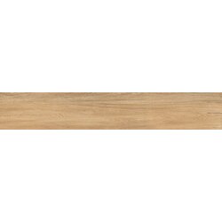 Apricot honey 20x120 1,2 rett Cene