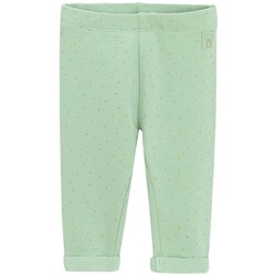 Cool club pajkice DH CCG2701654 D zelena 62 Cene