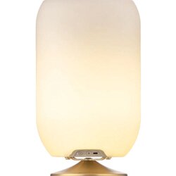 Kooduu zvučnik ATOMOS BRASS ICE Cene