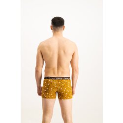 Frogies Men's boxers Zodiac Bik Cene