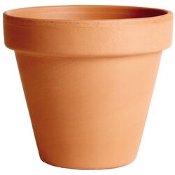 Degrea saksija 13 cm classica palladio terracotta de 01130 Cene
