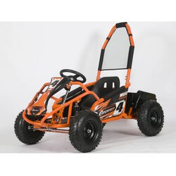 Ramiz otroški buggy gokart monster 1000W 48V oranžna Cene