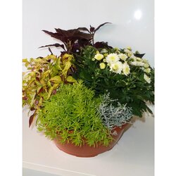  Jesenska skleda Ø 26 cm Cene