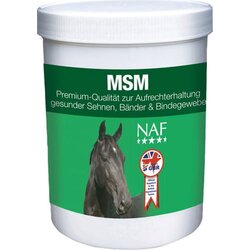 MSM MSM Cene