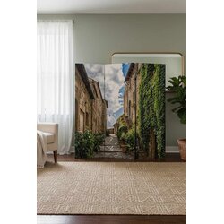 Aberto Design paravan, 120x180x5cm, šareni Cijene