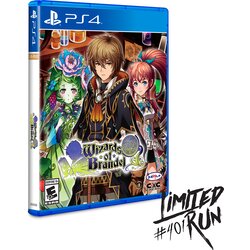 Wizards of Brandel - Limited Run (PS4) Cene