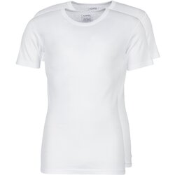 Athena Majice s kratkimi rokavi T SHIRT COL ROND Bela Cene