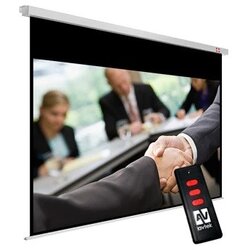 Avtek Business Electric Screen 300P Cene