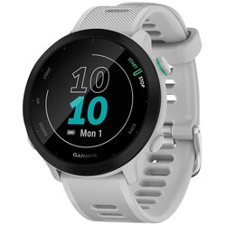 Garmin Forerunner 55 Whitestone Cene