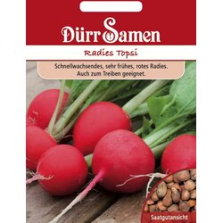 Dürr Samen Redkvica "Topsi" - 600 zrn. Cene