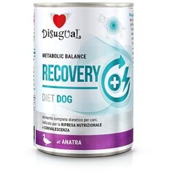 Disugual Disigual veterinarska dijeta za pse konzerva Recovery - Duck 400g Cene