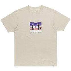 Dc Shoes Metallic Star majica Cene